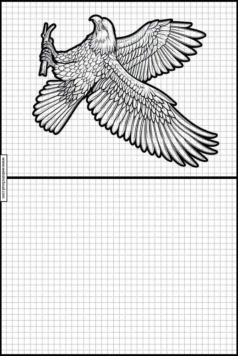 Aguilas - Animales 2