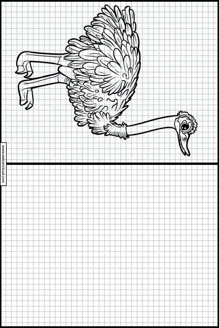 Struisvogels - Dieren 3