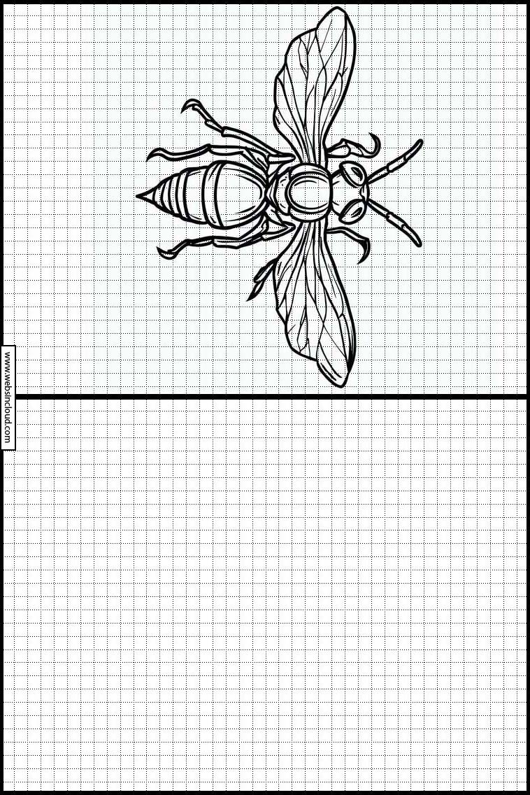 Wespen - Dieren 2