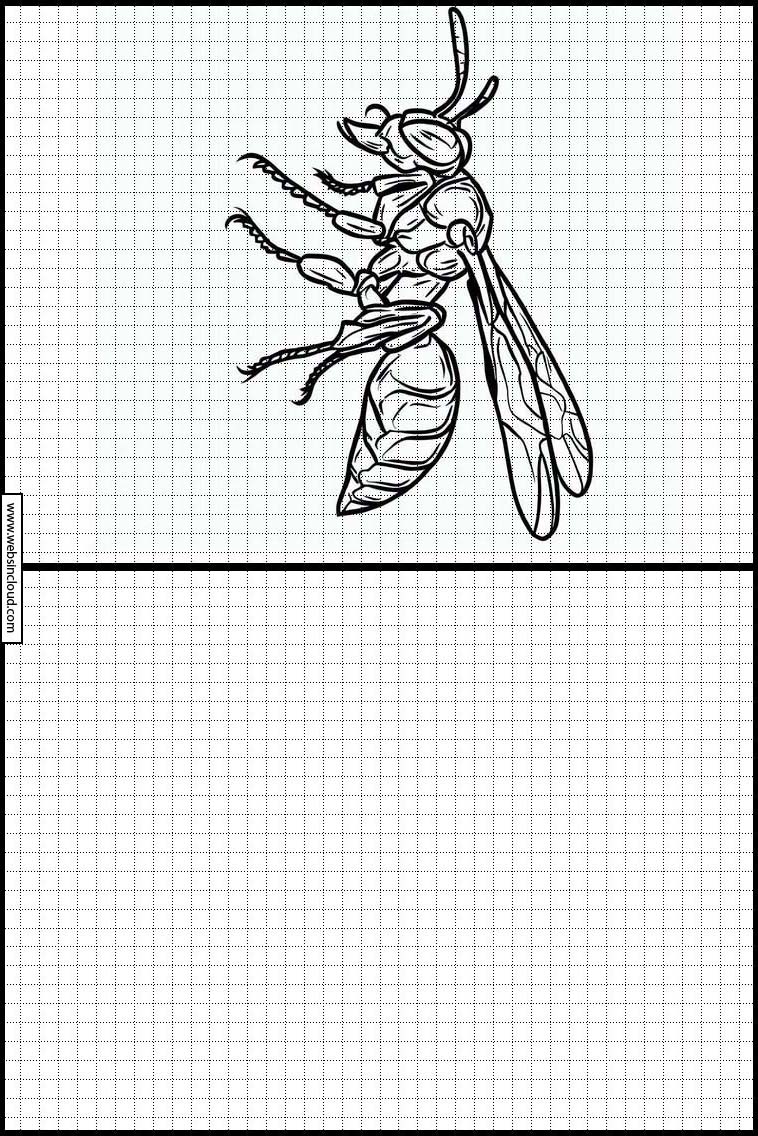 Wespen - Dieren 3