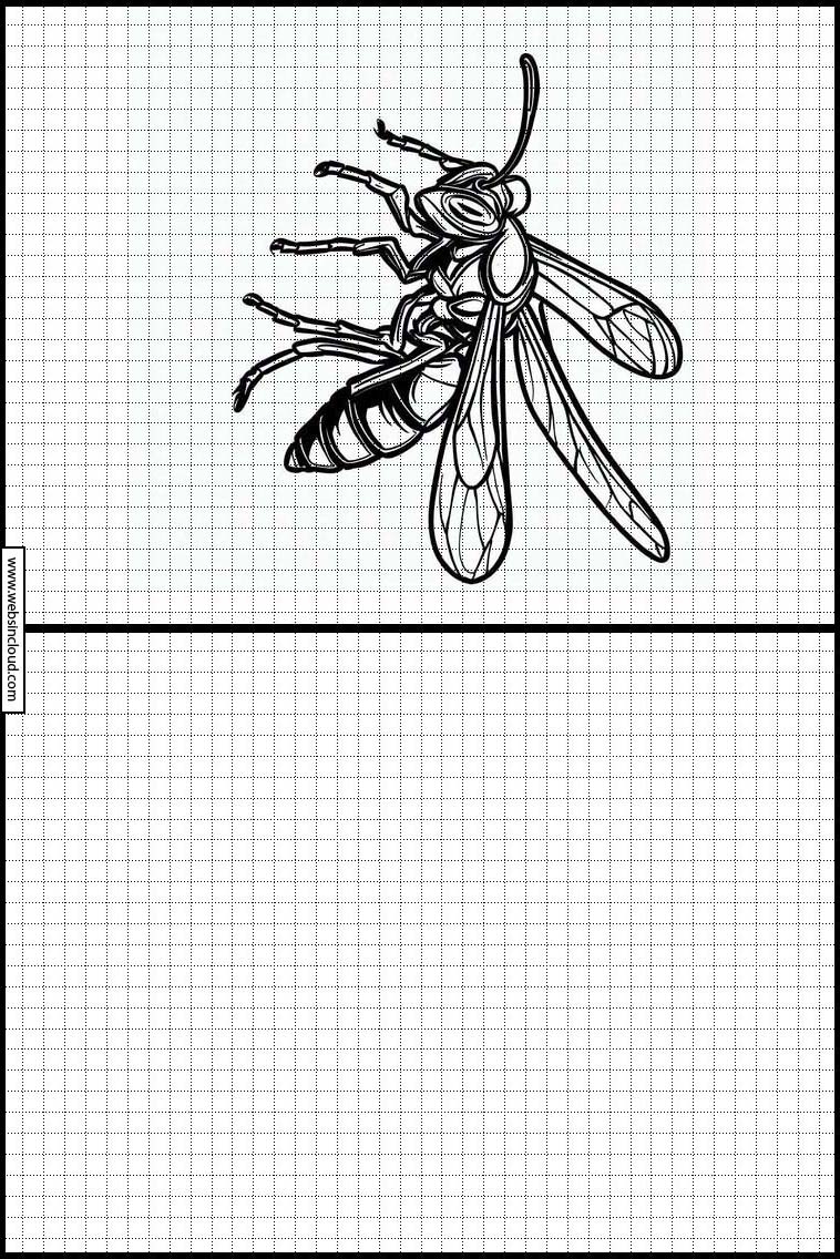 Wespen - Dieren 4