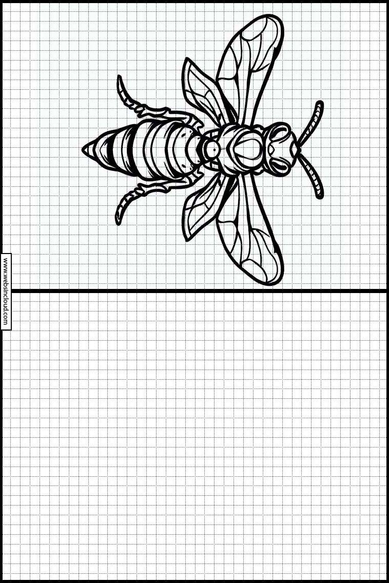 Wasps - Animals 5