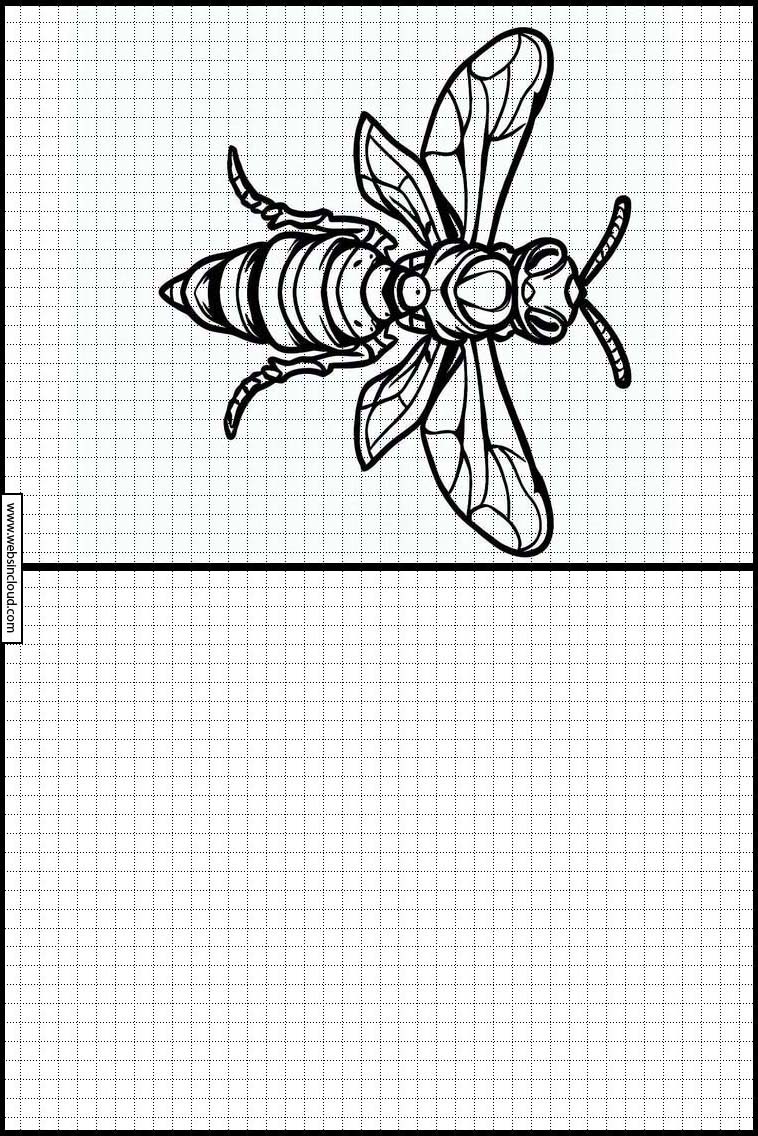 Wespen - Dieren 5