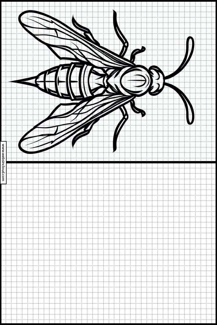 Wespen - Tiere 6