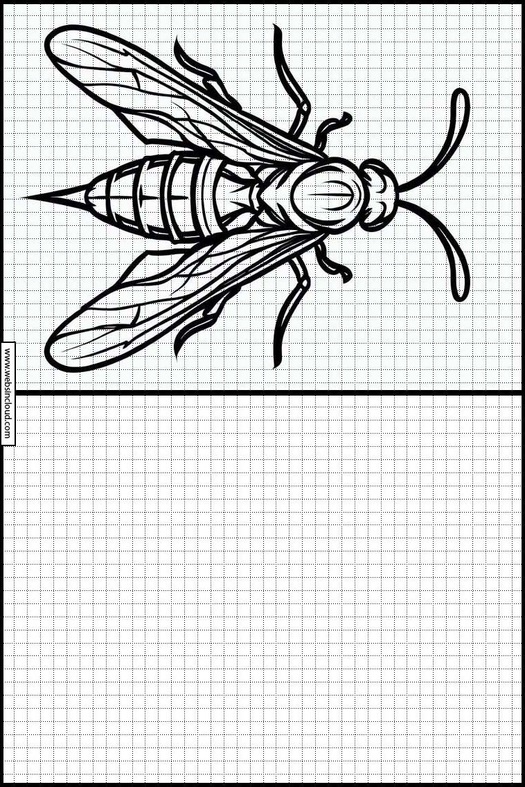 Wespen - Dieren 6