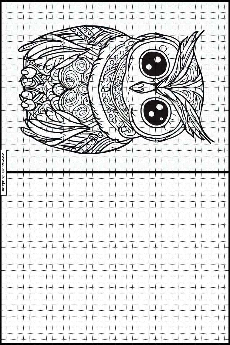 Owls - Animals 3