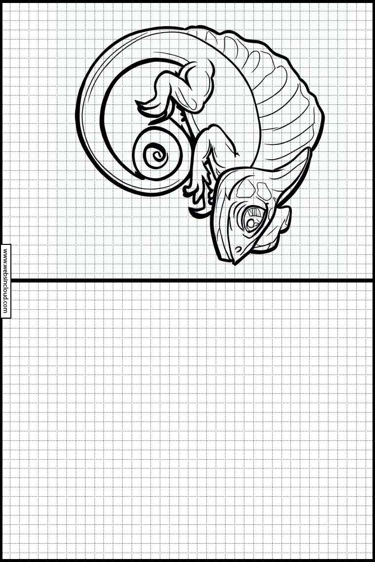 Chameleon - Zvířata 1