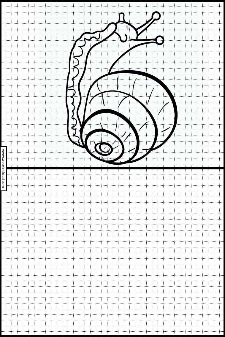 Schnecken - Tiere 2