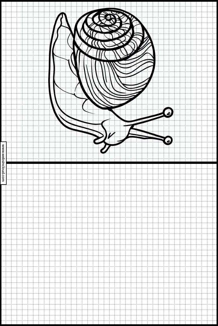 Schnecken - Tiere 3