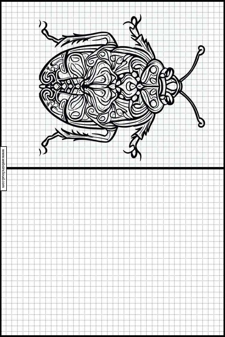 Bedbugs - Animals 2