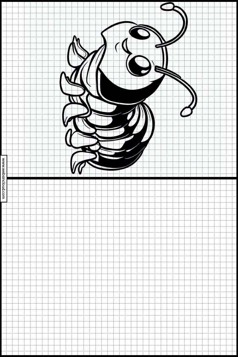 Duizendpoten - Dieren 5