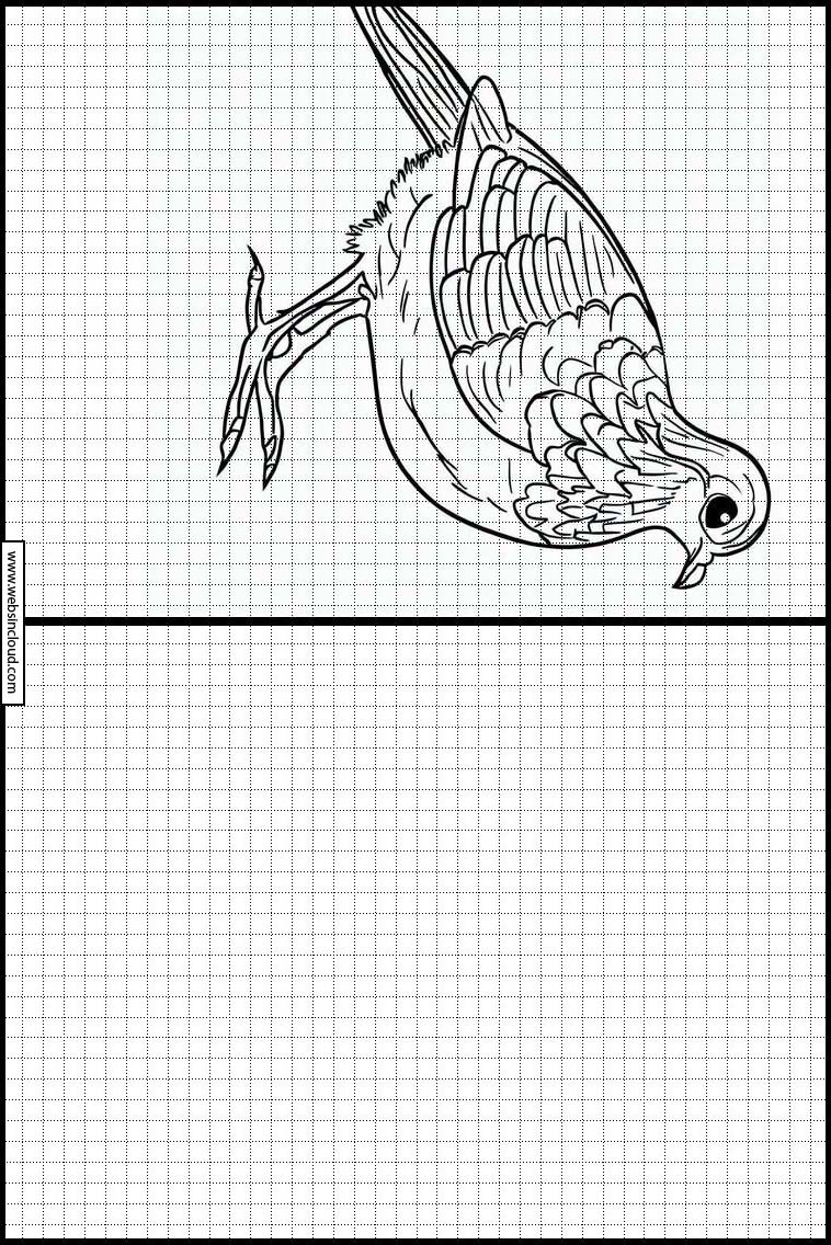 Codornices - Animales 6