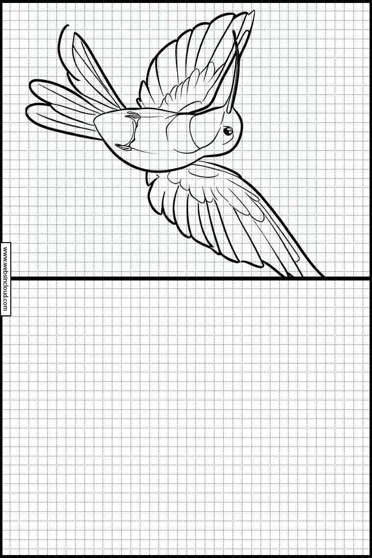 Kolibris - Tiere 2