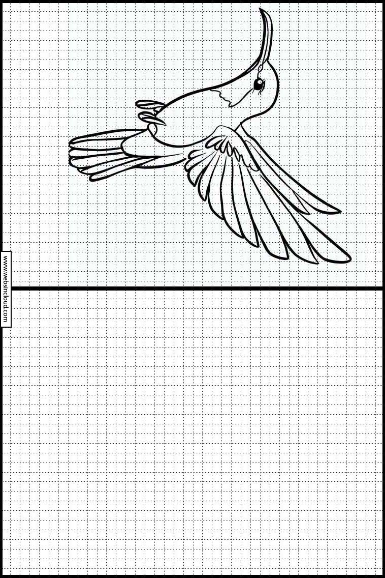 Kolibri - Dyr 3