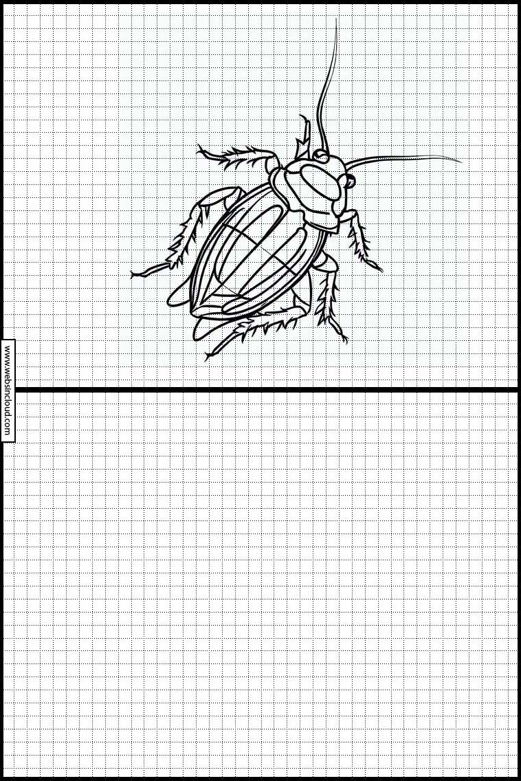 Cucarachas - Animales 1