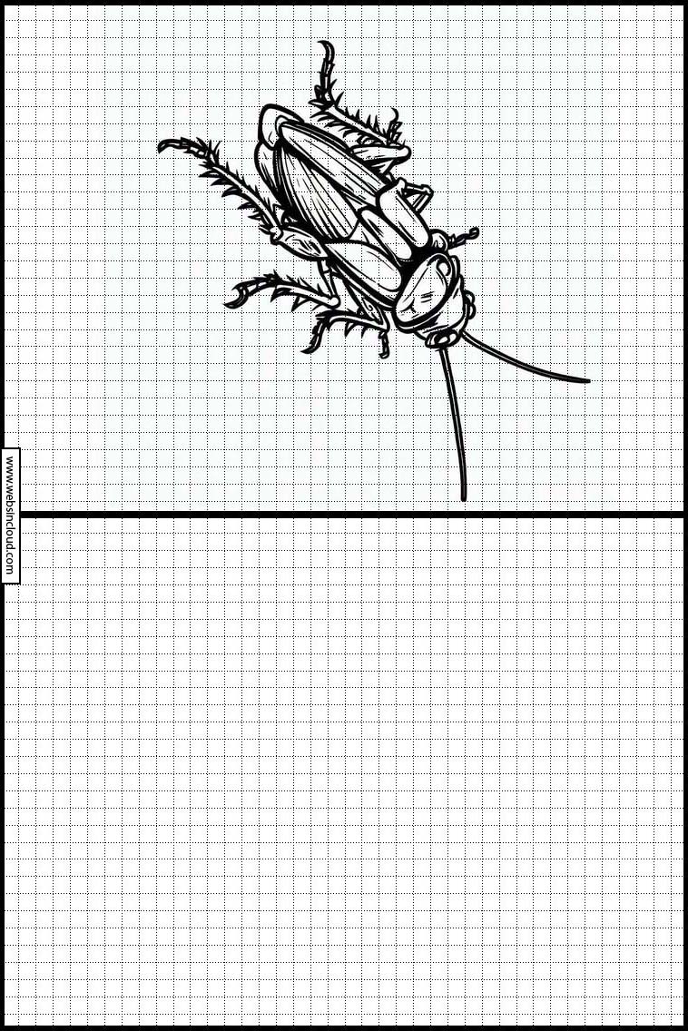 Kakkerlakken - Dieren 3