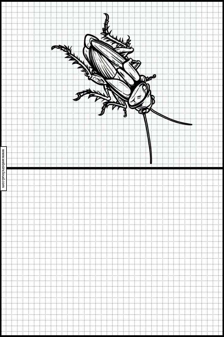 Cucarachas - Animales 3