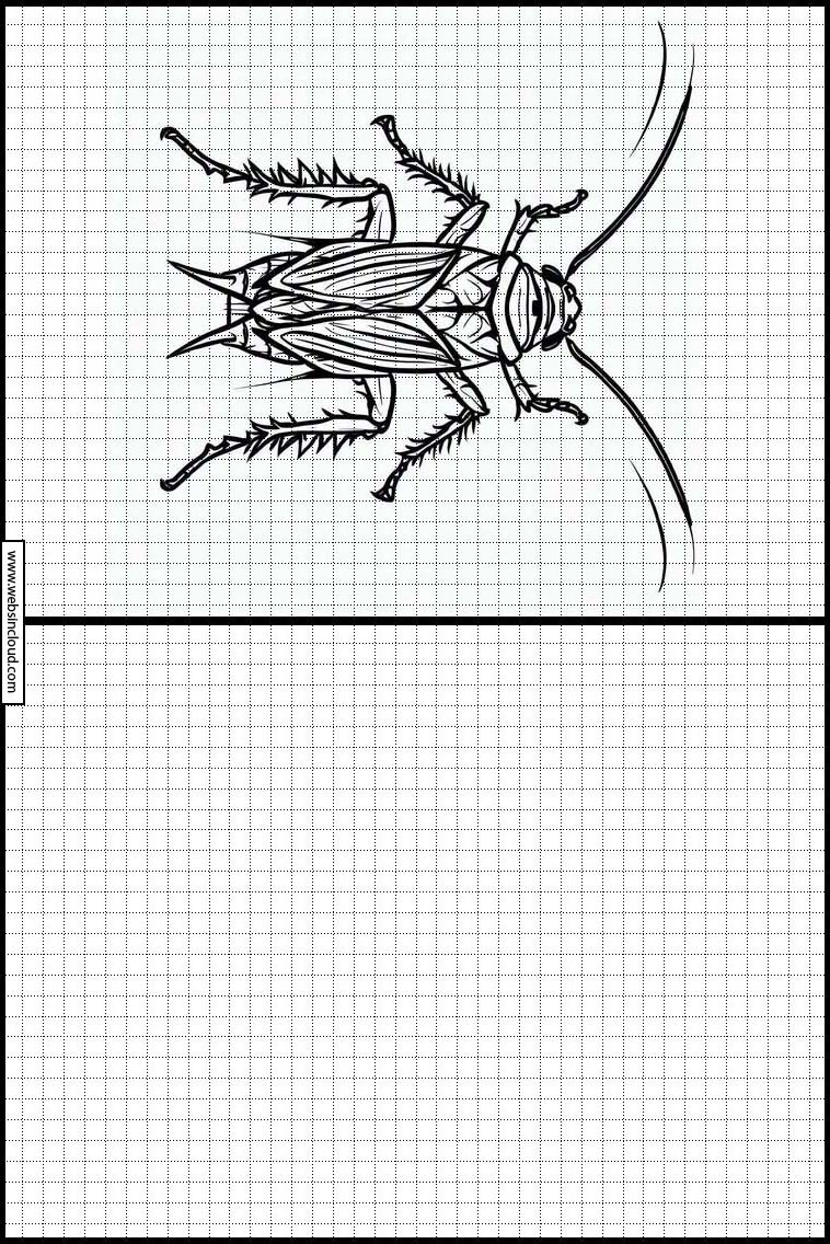 Kakerlakk - Dyr 4