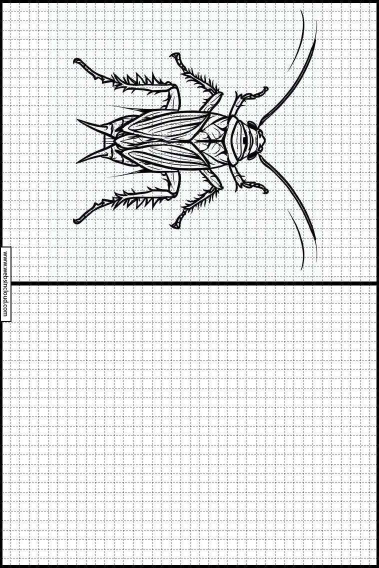 Cafards - Animaux 4