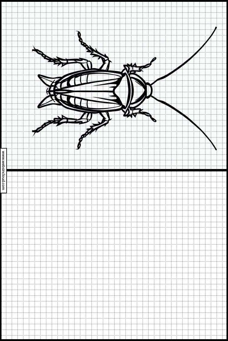 Kakkerlakken - Dieren 5