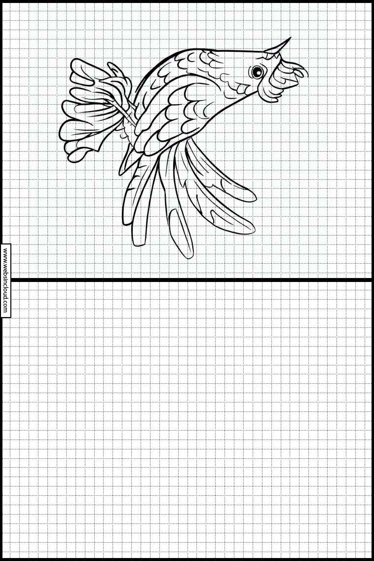 Koekoeken - Dieren 4