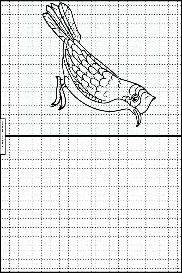 Koekoeken - Dieren 6