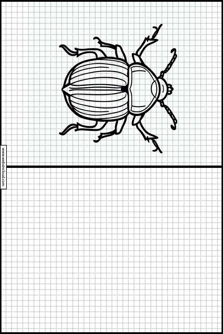 Skalbaggar - Djur 2