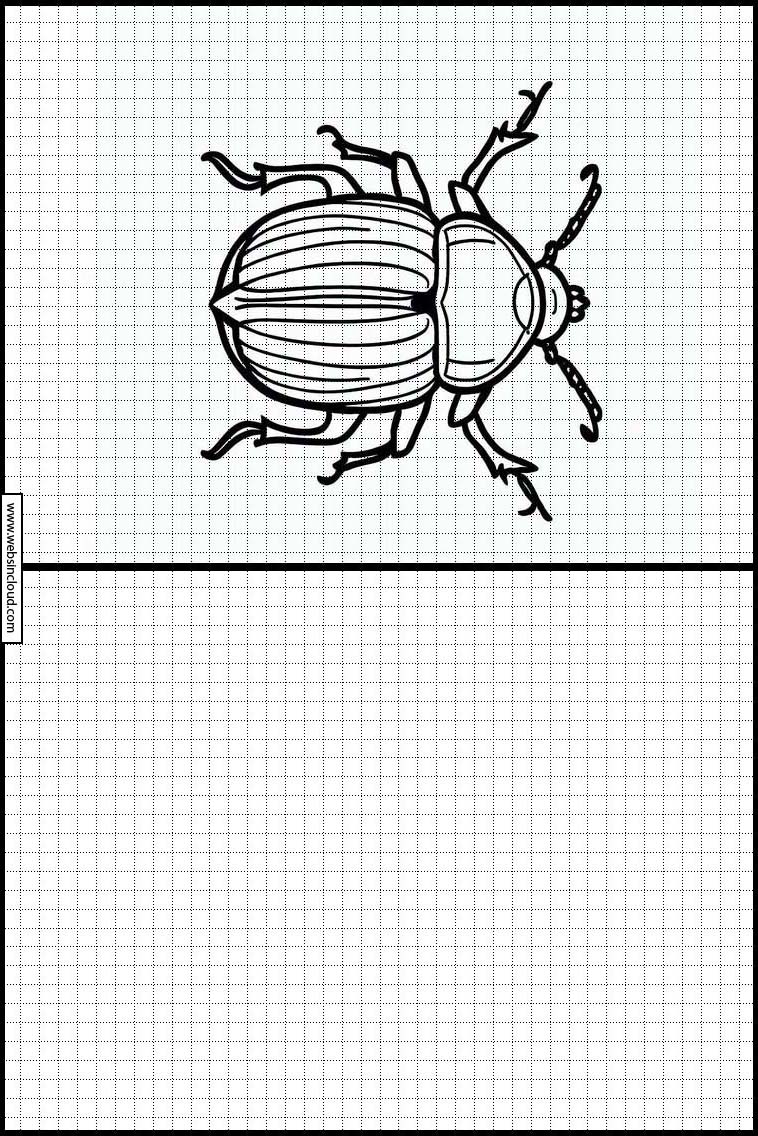 Beetles - Animals 2