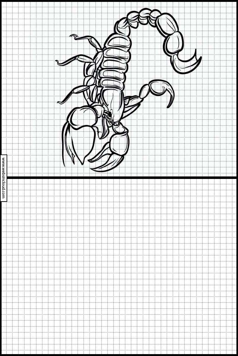 Escorpiones - Animales 3