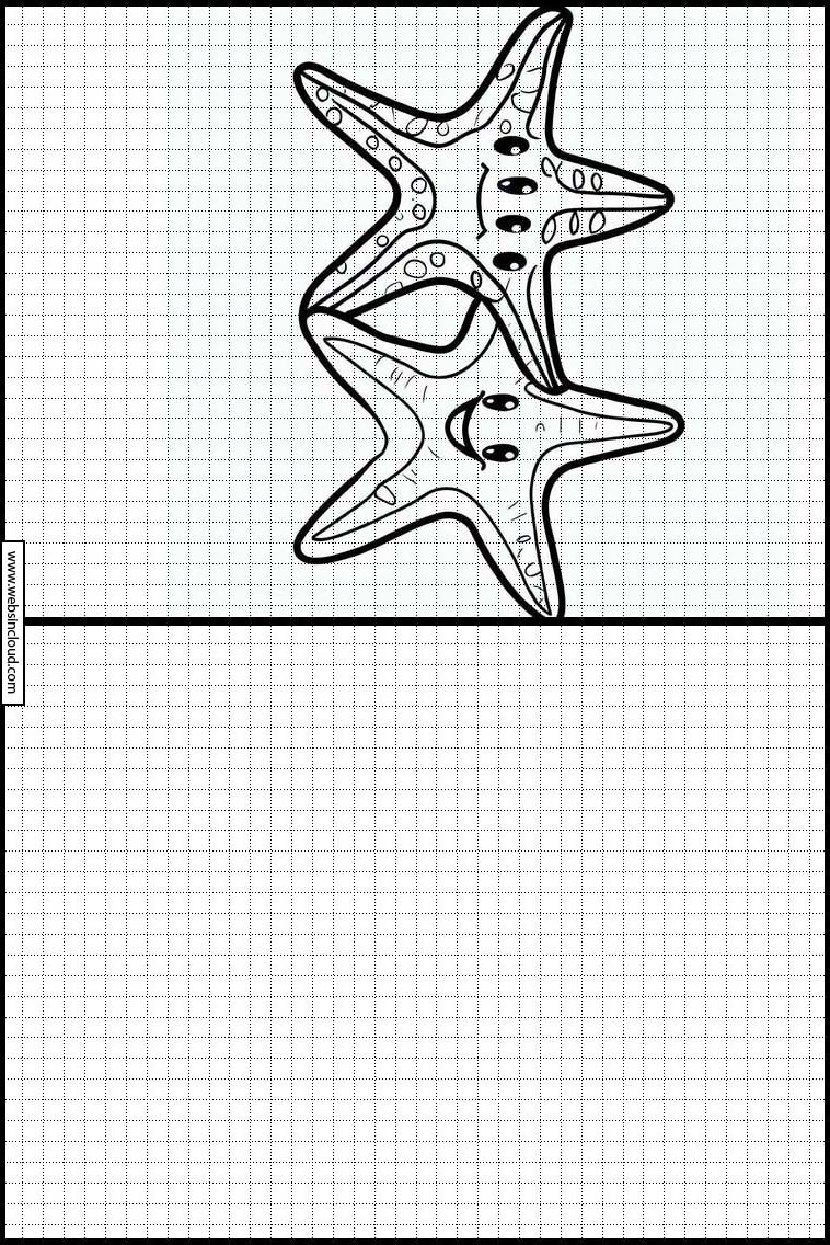 Estrelas-do-mar - Animais 3