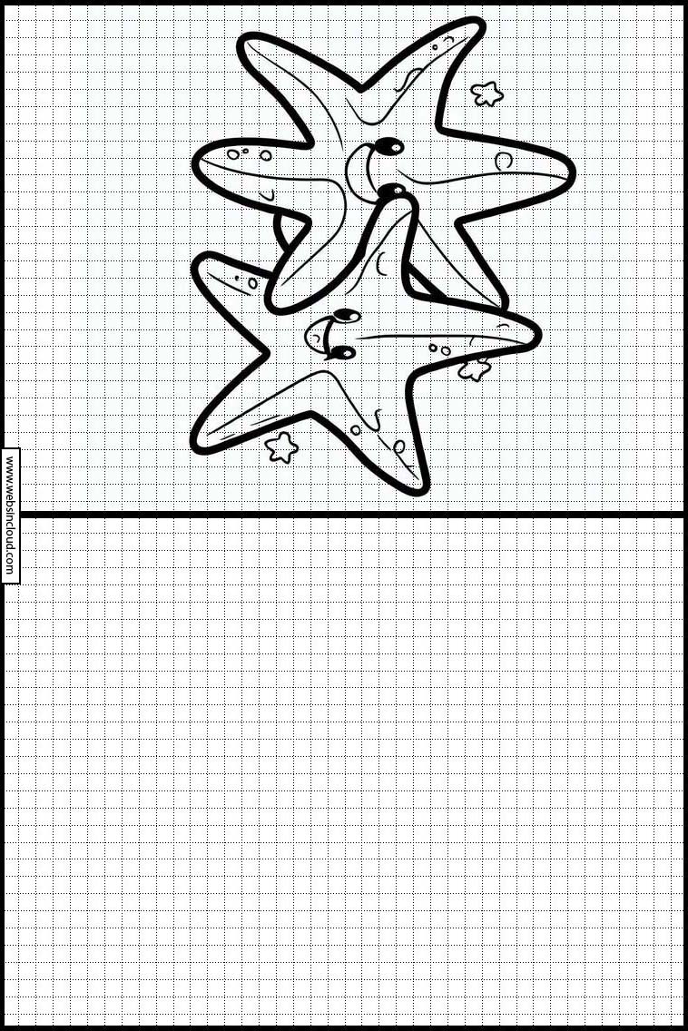 Estrelas-do-mar - Animais 4