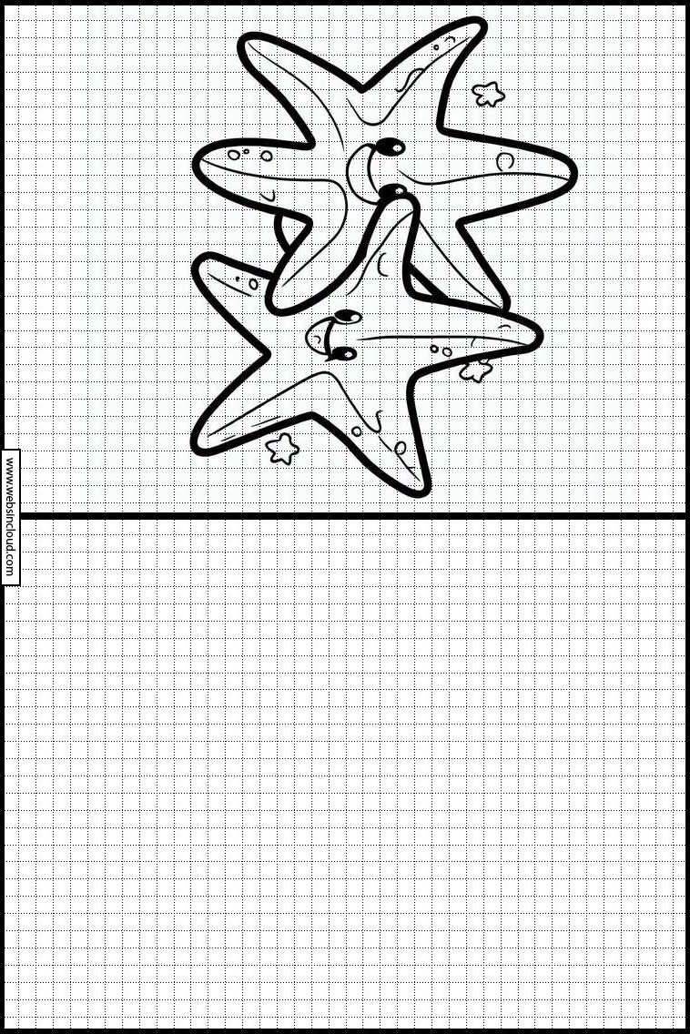 Starfish - Animals 4