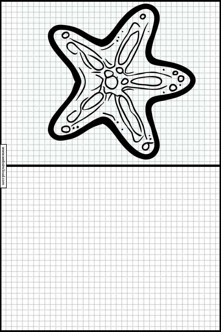 Estrelas-do-mar - Animais 5