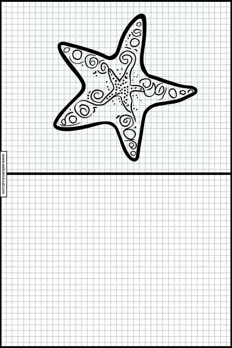 Starfish - Animals 6