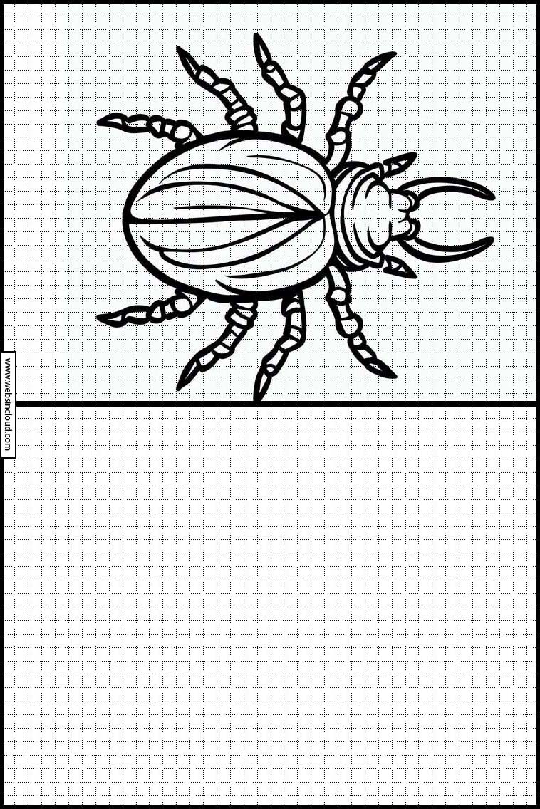 Teken - Dieren 3