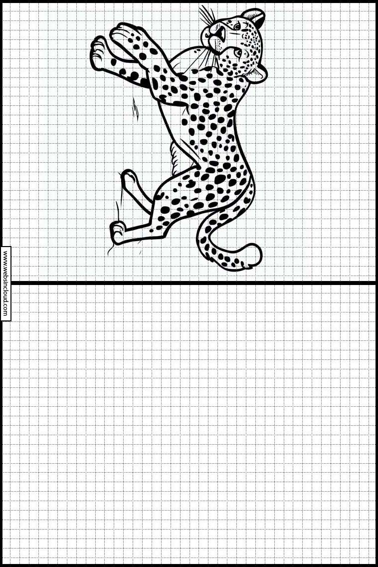 Cheetahs - Animals 1