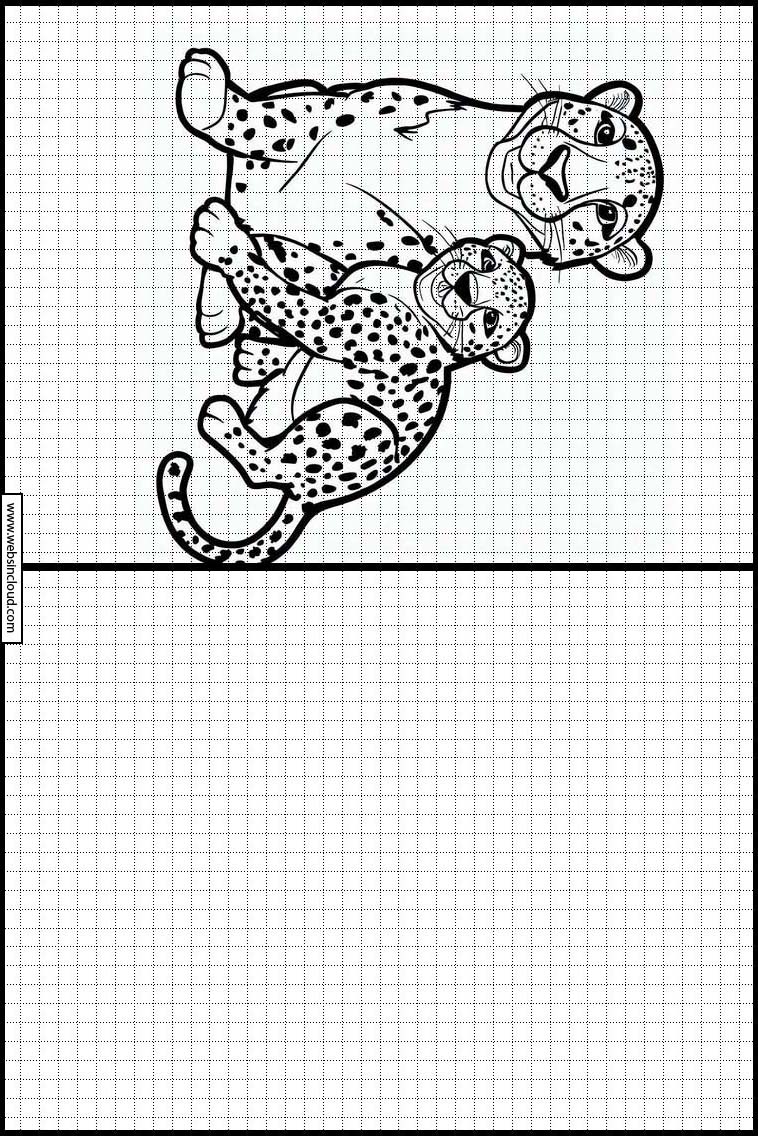 Гепарды - Животные 3