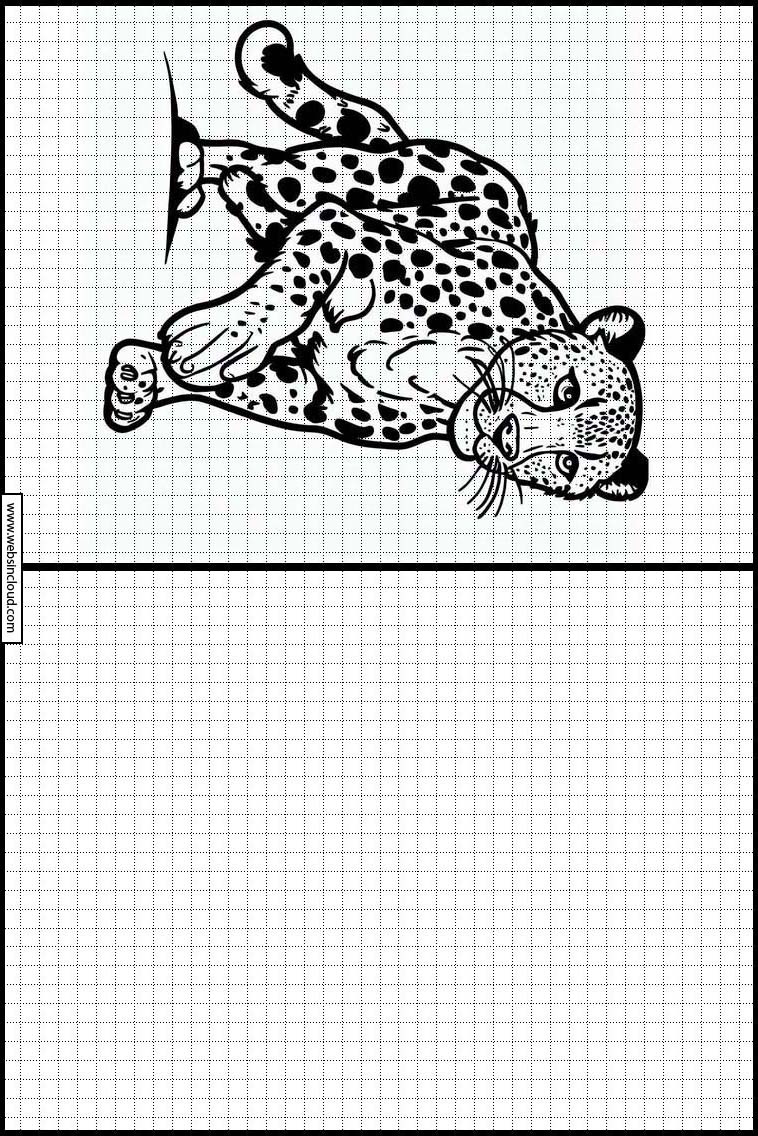 Cheetahs - Animals 4