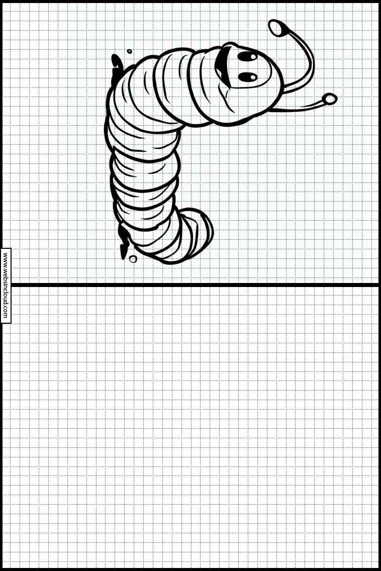 Wormen - Dieren 2