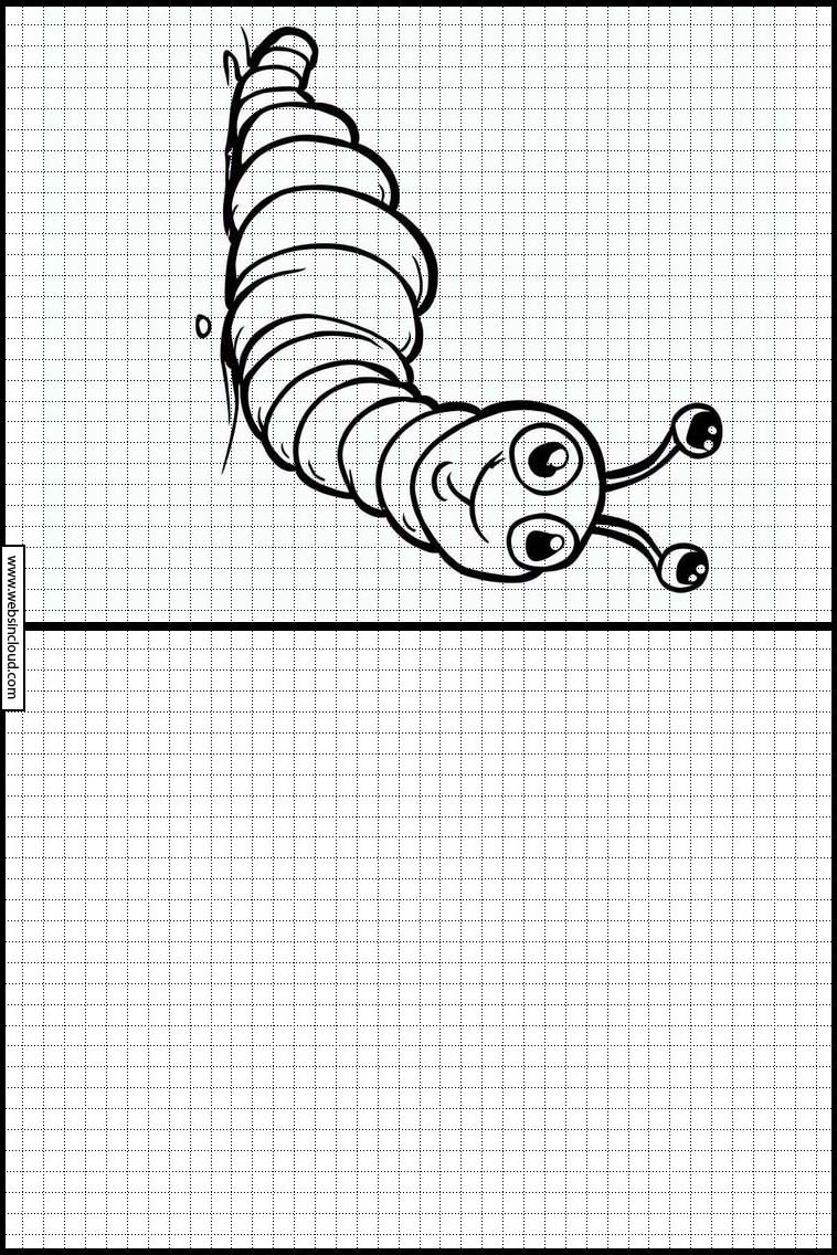 Wormen - Dieren 4