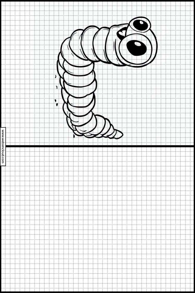 Wormen - Dieren 5