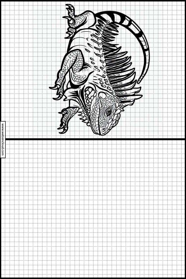 Leguane - Tiere 1