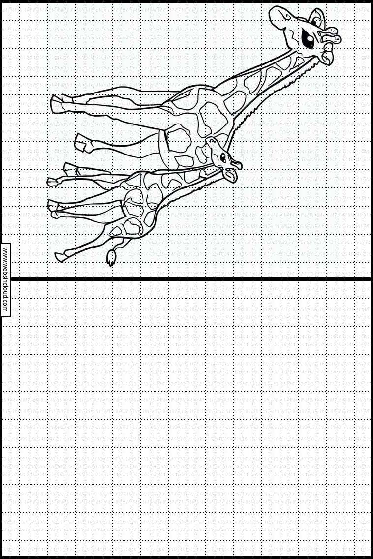 Giraffen - Dieren 4