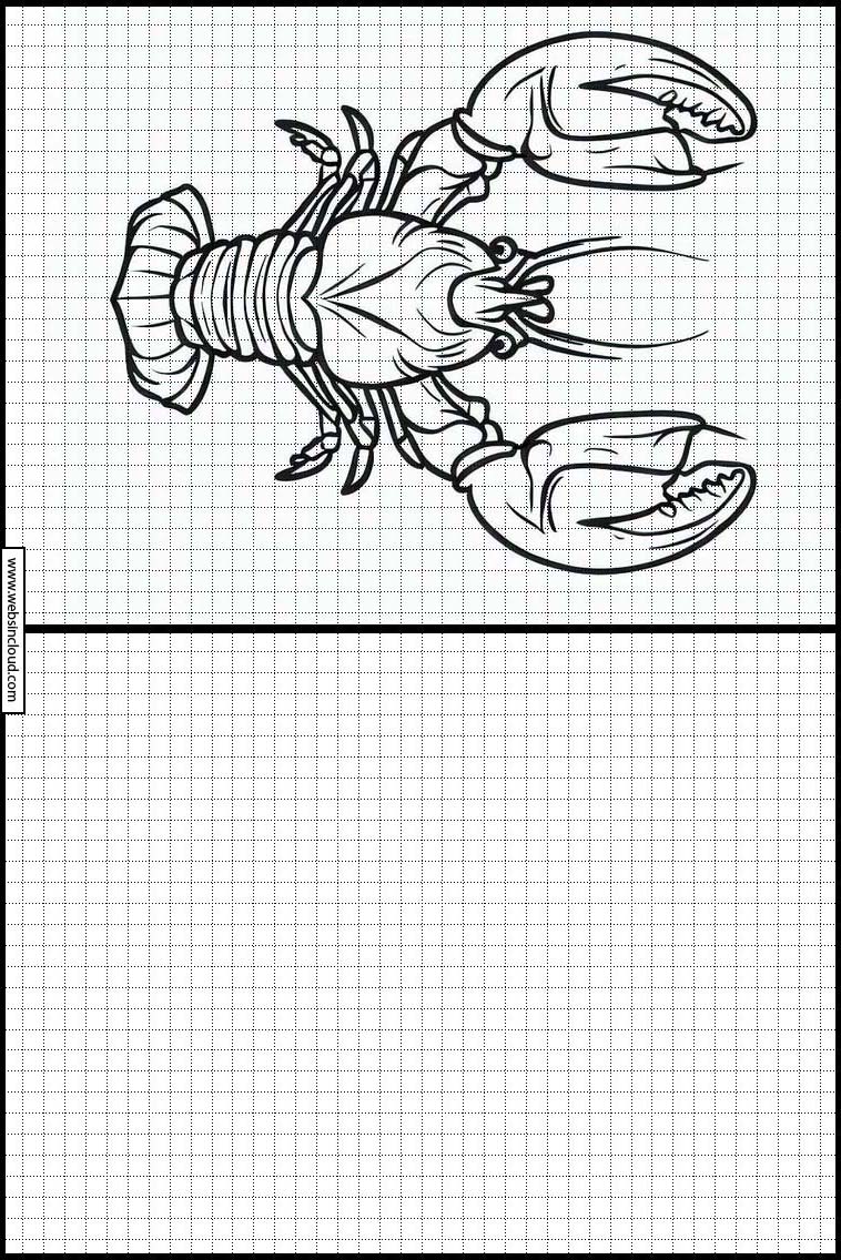 Homards - Animaux 1