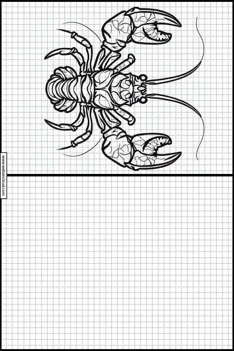 Homards - Animaux 3