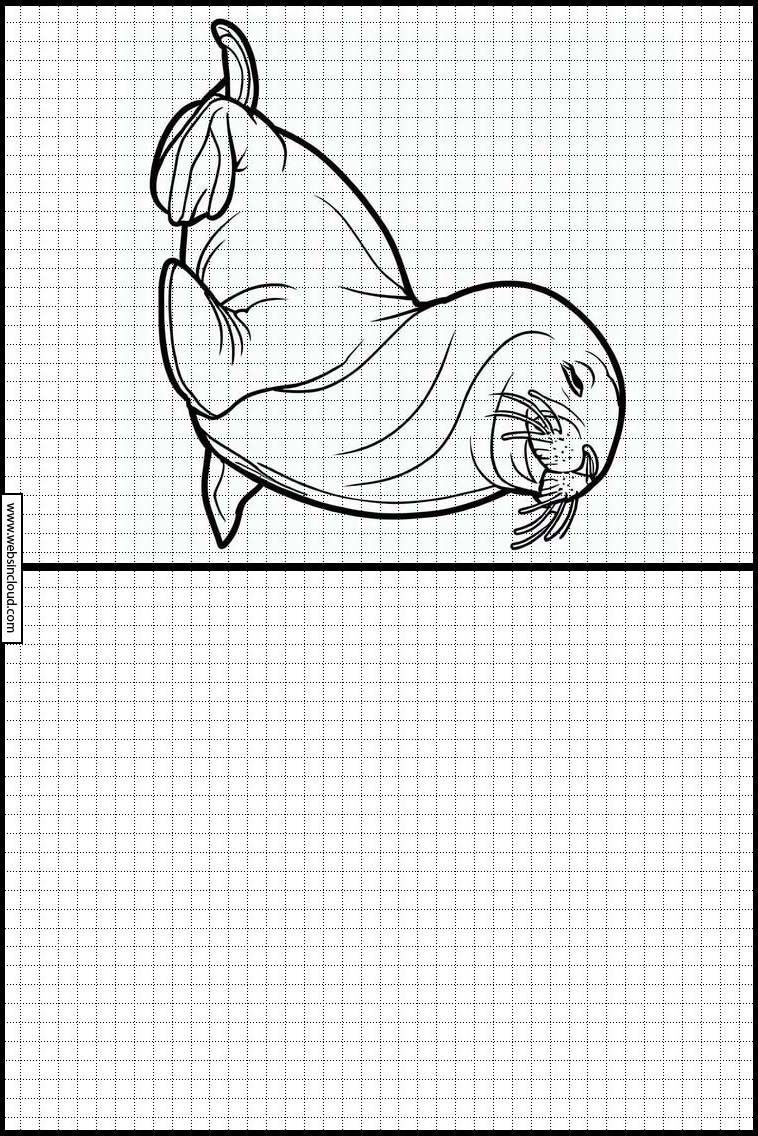 Sea Lions - Animals 1