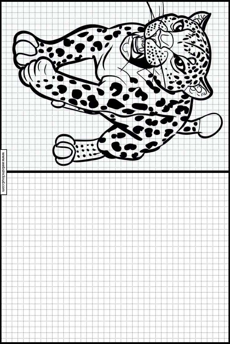 Leopards - Animals 1