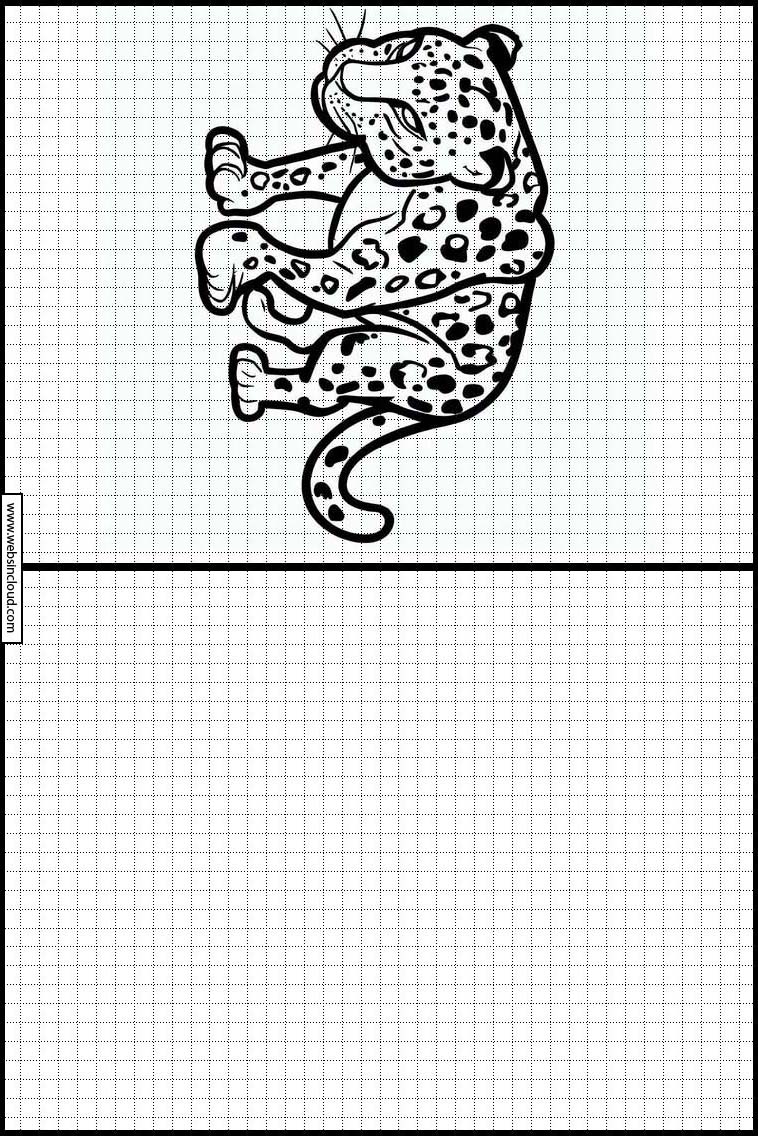 Leoparder - Djur 2