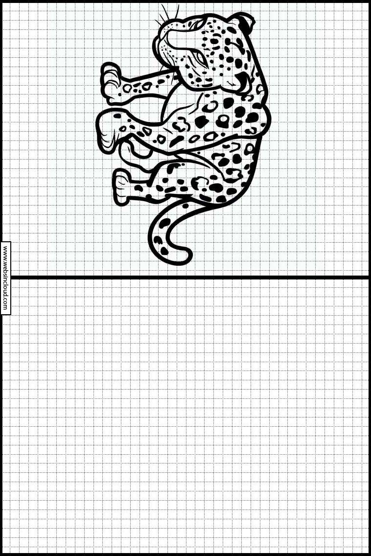 Leopards - Animals 2