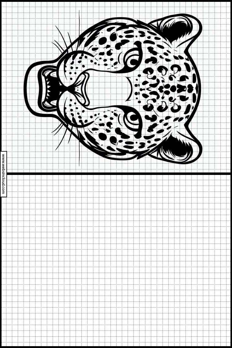 Leopardos - Animales 3
